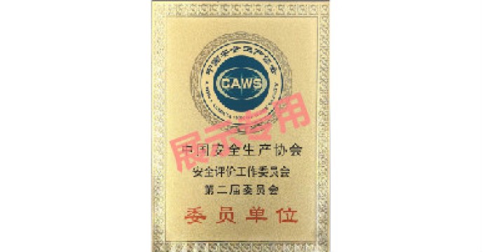 中国安全生产协会
